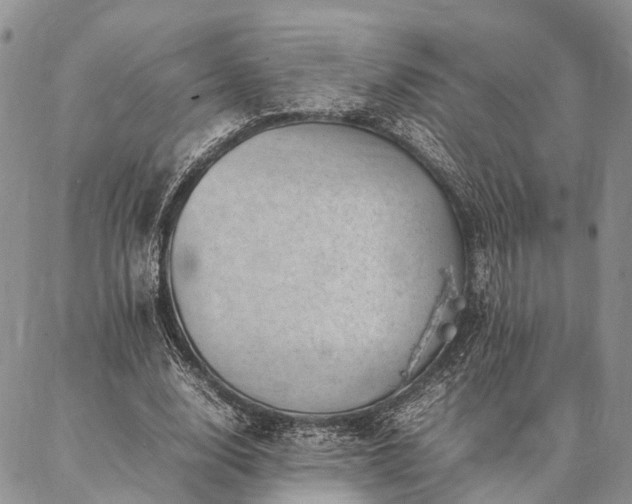 X0000086890632200704231129