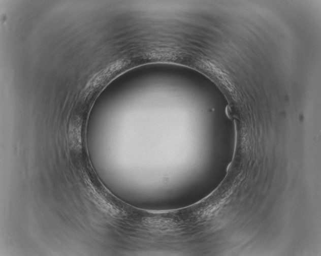 X0000086890633200704231129