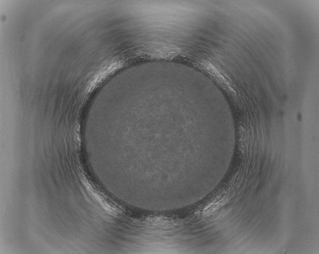 X0000086890634200704231129