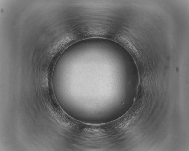 X0000086890635200704231129