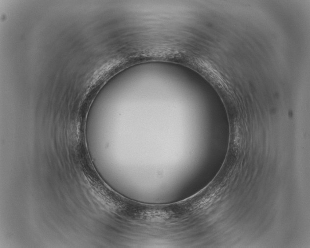 X0000086890636200704231129