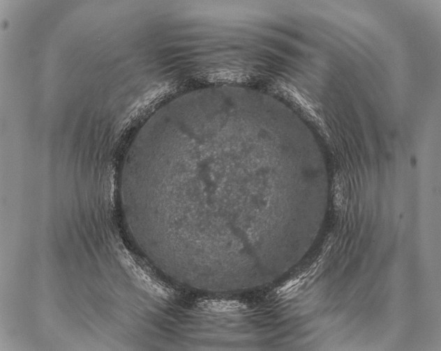 X0000086890637200704231129