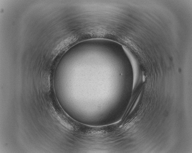 X0000086890638200704231129