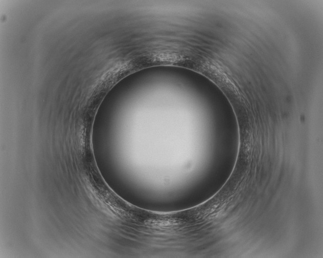 X0000086890639200704231129