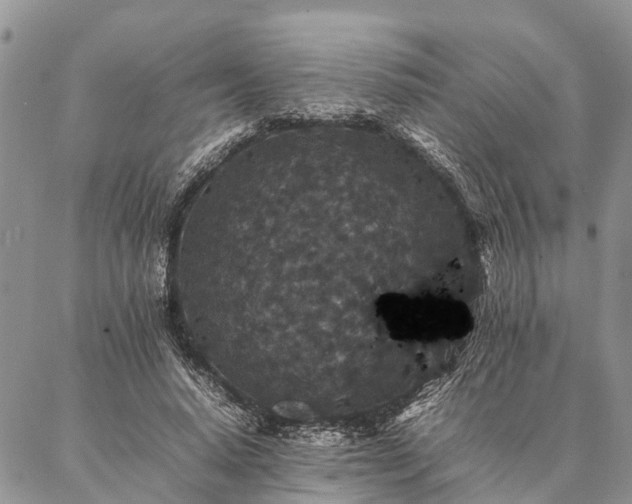 X0000086890640200704231129