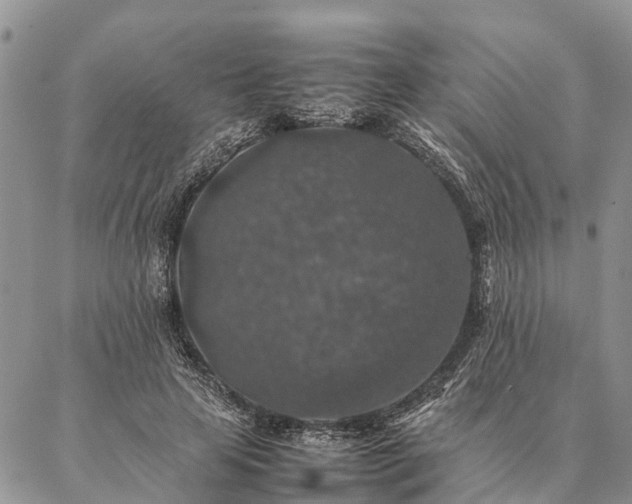 X0000086890641200704231129