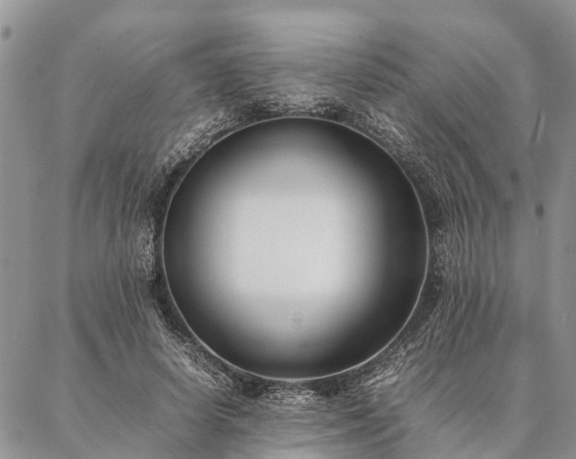 X0000086890642200704231129