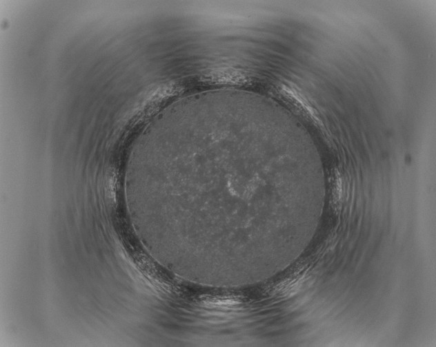 X0000086890643200704231129