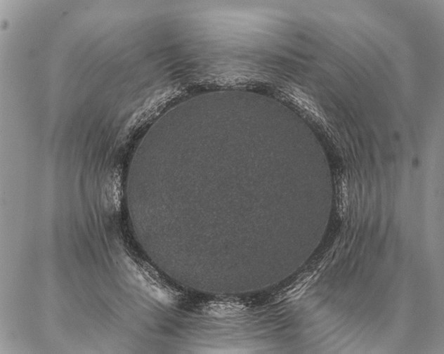 X0000086890644200704231129