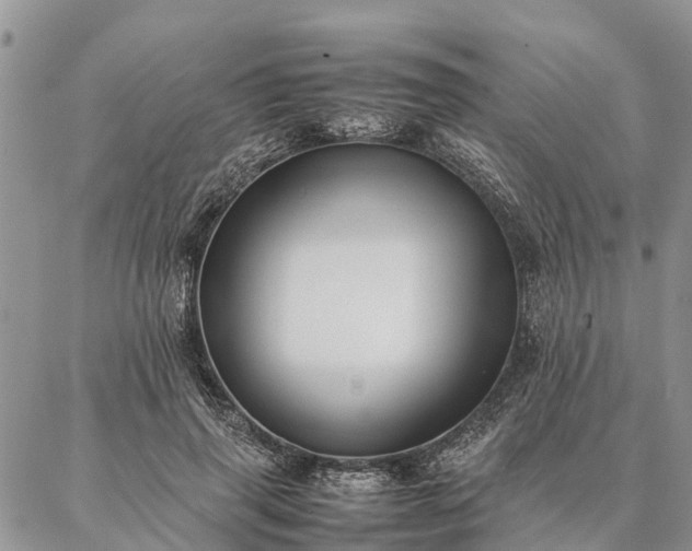 X0000086890645200704231129