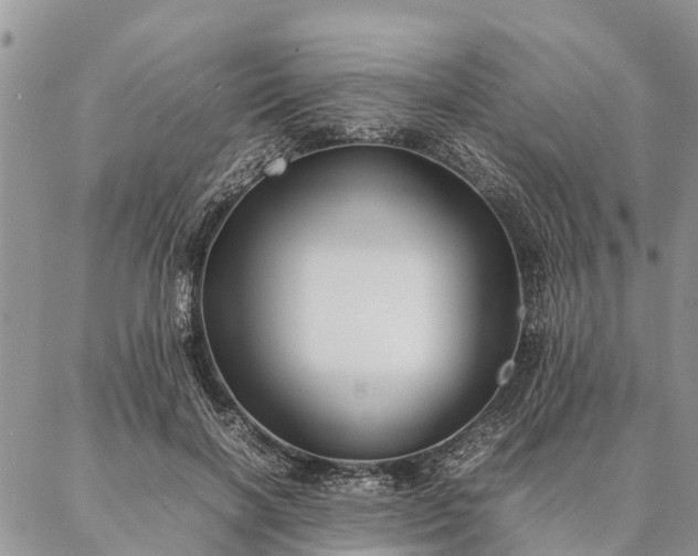 X0000086890646200704231129