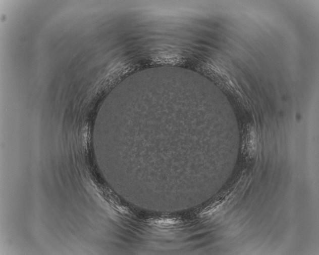 X0000086890647200704231129