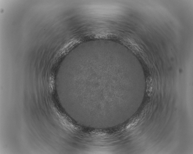 X0000086890648200704231129