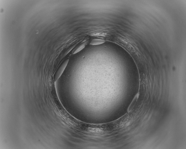 X0000086890649200704231129