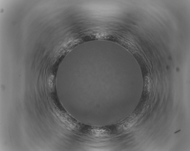 X0000086890650200704231129