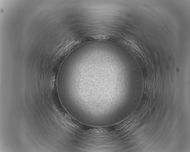 X0000086890652200704231129