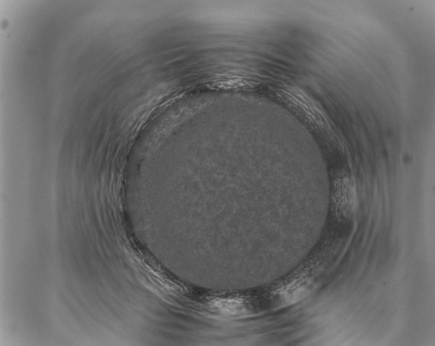 X0000086890653200704231129