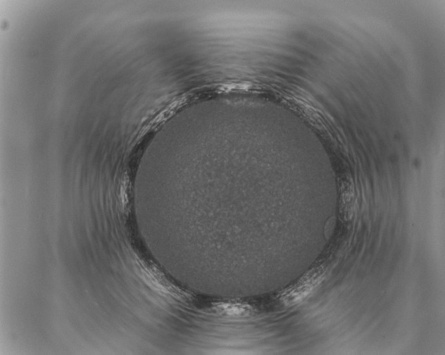 X0000086890654200704231129