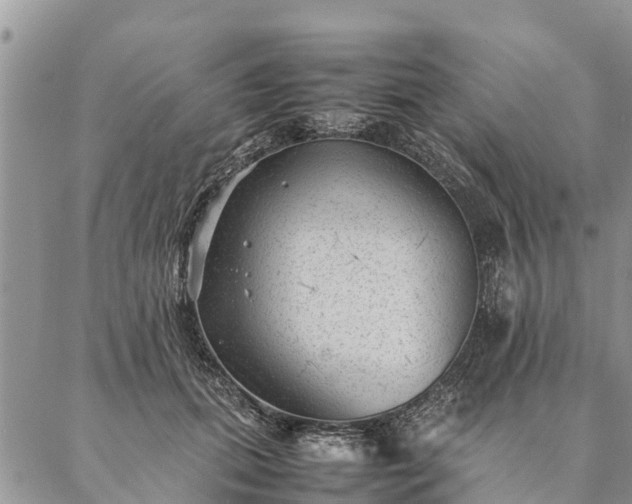 X0000086890655200704231129