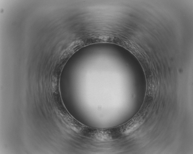 X0000086890656200704231129