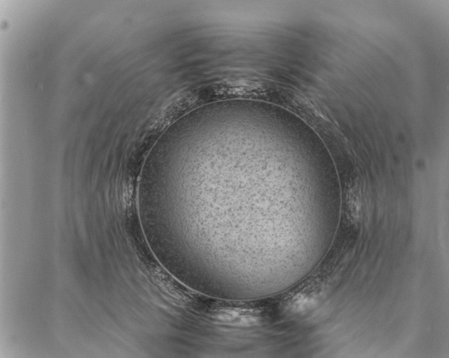 X0000086890657200704231129