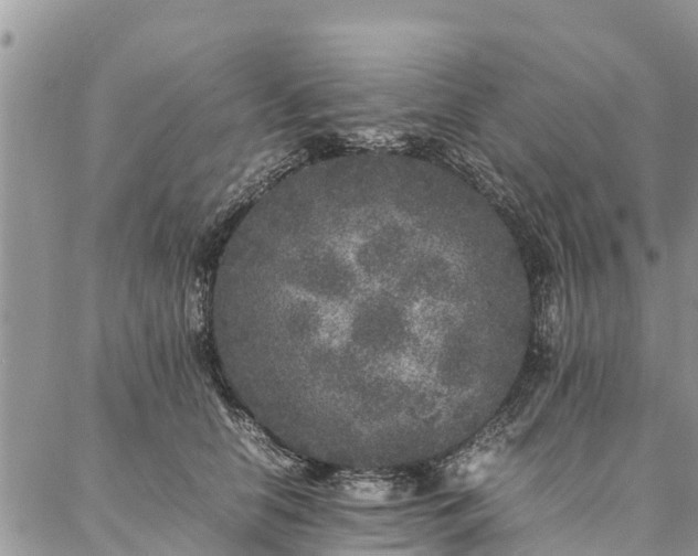 X0000086890658200704231129