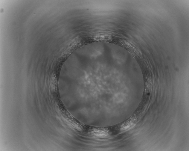 X0000086890659200704231129