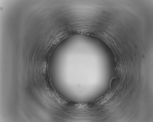 X0000086890660200704231129