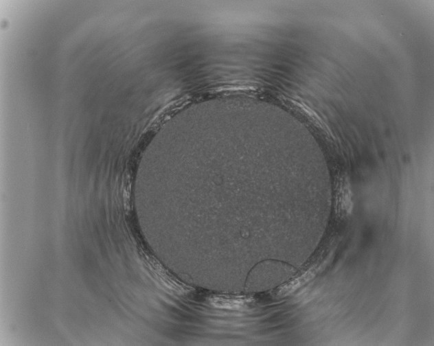 X0000086890661200704231129