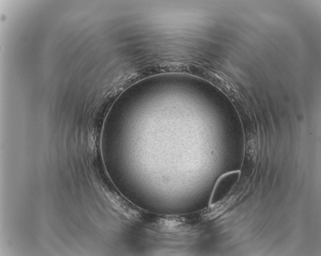 X0000086890662200704231129