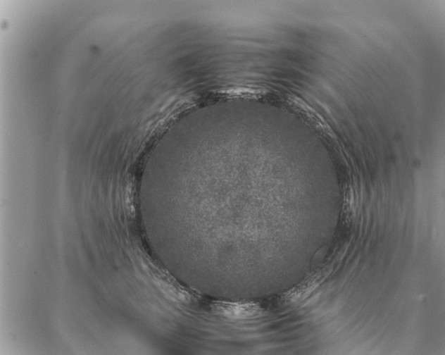 X0000086890663200704231129