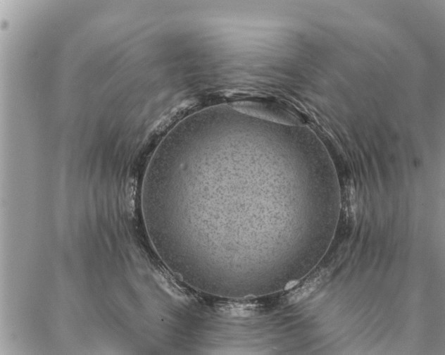 X0000086890664200704231129