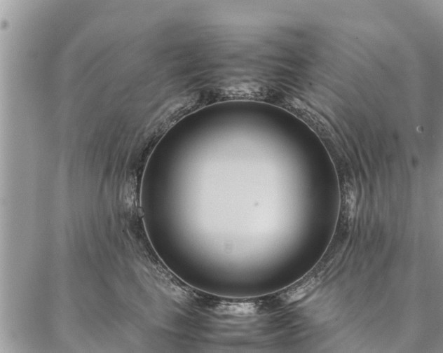 X0000086890665200704231129