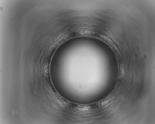 X0000086890667200704231129