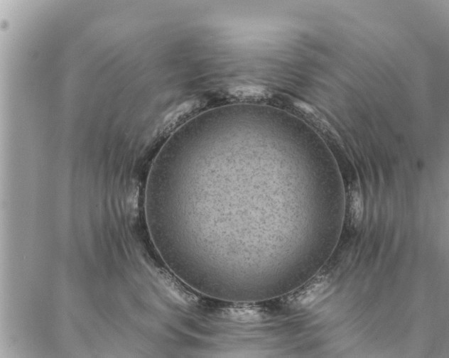 X0000086890668200704231129