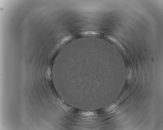 X0000086890669200704231129