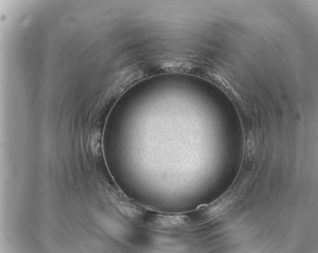 X0000086890671200704231129