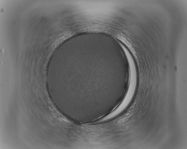 X0000086890673200704231129