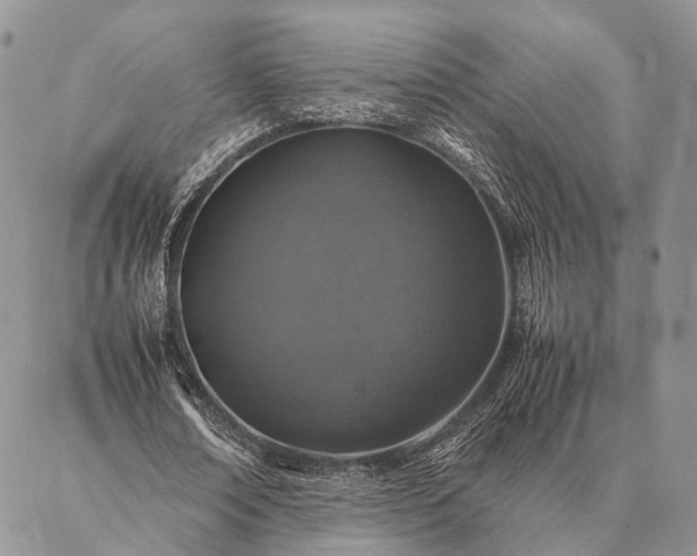 X0000086890674200704231129