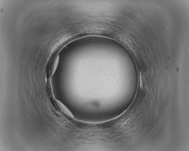 X0000086890675200704231129