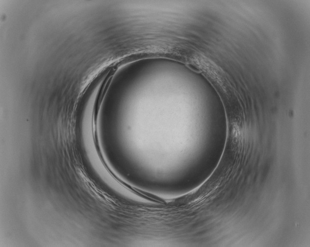 X0000086890676200704231129