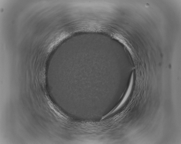 X0000086890677200704231129