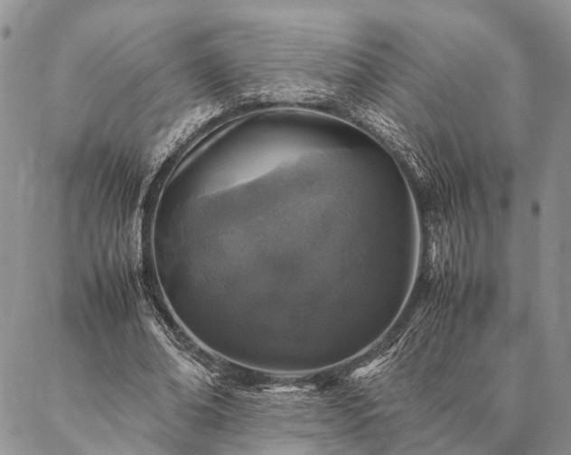 X0000086890678200704231129