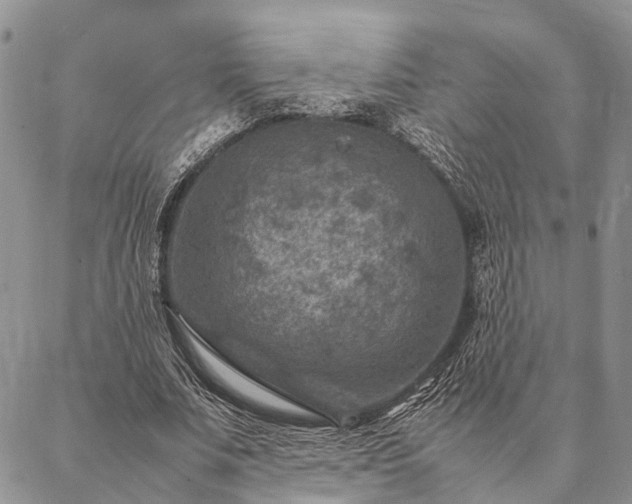 X0000086890679200704231129