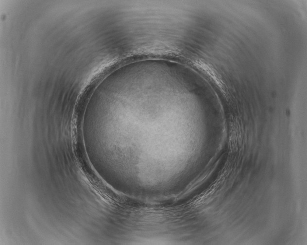 X0000086890680200704231129