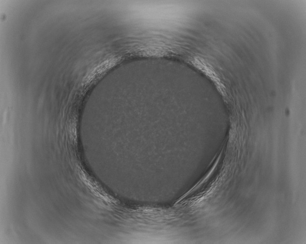 X0000086890681200704231128