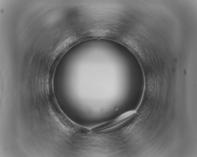 X0000086890682200704231128