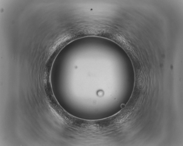 X0000086890683200704231128