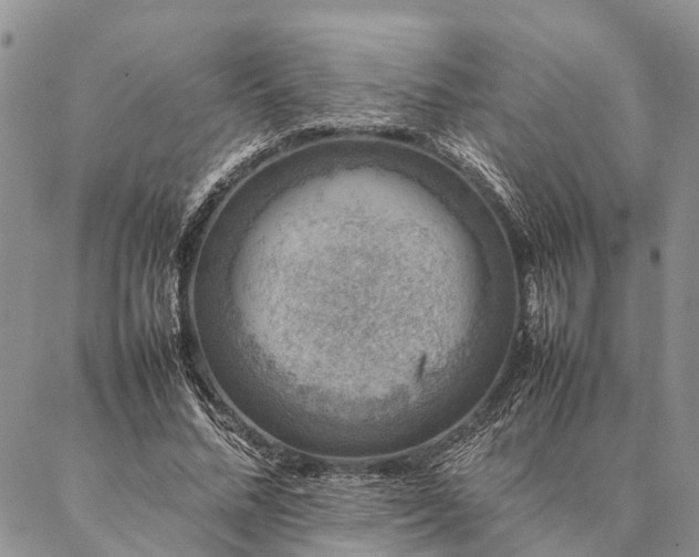 X0000086890684200704231128