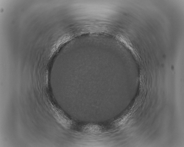 X0000086890685200704231128